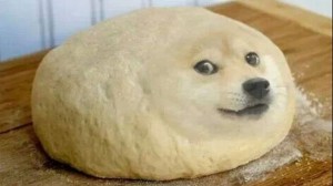 Create meme: doge meme, doge dog