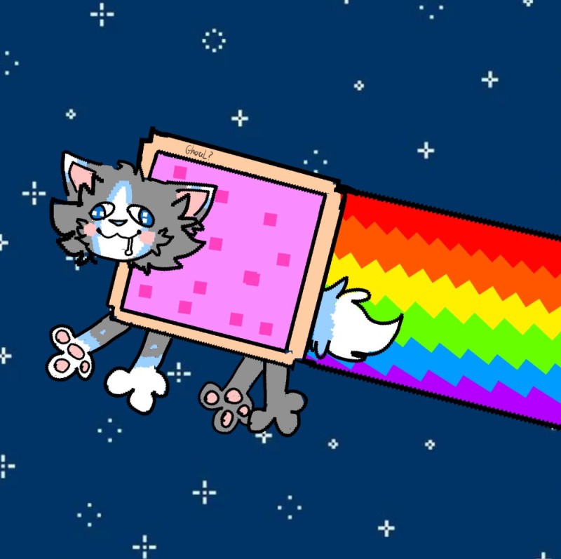 Создать мем: nyan, ням кэт, кот с радугой