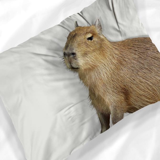 Create meme: the capybara , capybara rodents, capybara honey