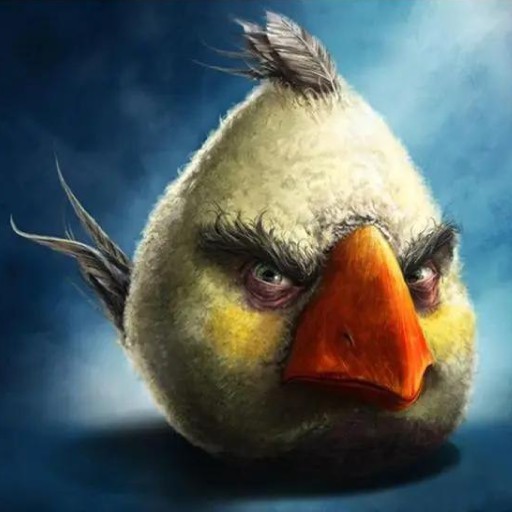 Создать мем: sam spratt realistic angry birds, реалистичные птицы энгри бердз, злая птица из энгри бердз