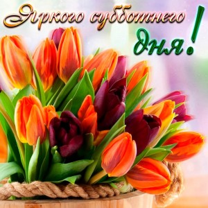 Create meme: greeting cards, multi-colored tulips, flowers tulips