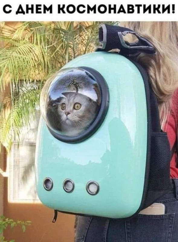 Create meme: backpack for a cat with a porthole, backpack for a cat with a porthole, a backpack for cats with a porthole