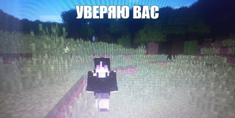 Create meme: minecraft pvp, minecraft skins, skin