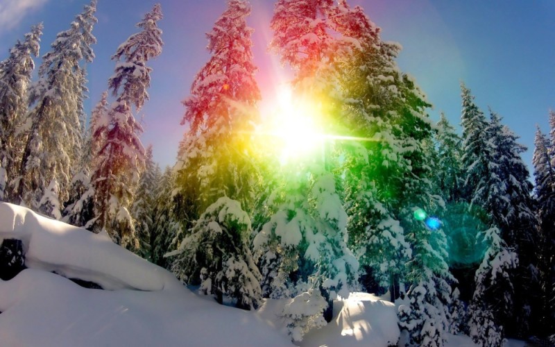 Create meme: winter sun, a sunny winter day, winter forest sun