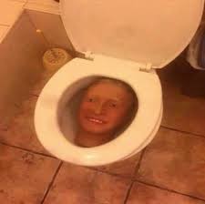 Create meme: flamingo in toilet cursed image, pictures on the toilet funny