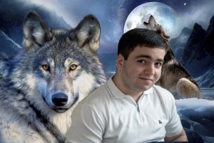 Create meme: wolf wolf, grey wolf, male