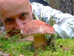 Create meme: mushrooms, mushrooms white mushroom, mushroom boletus