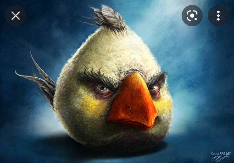 Create meme: realistic angry birds, The bird from the Angri Birds, The evil bird of the Angri Birds