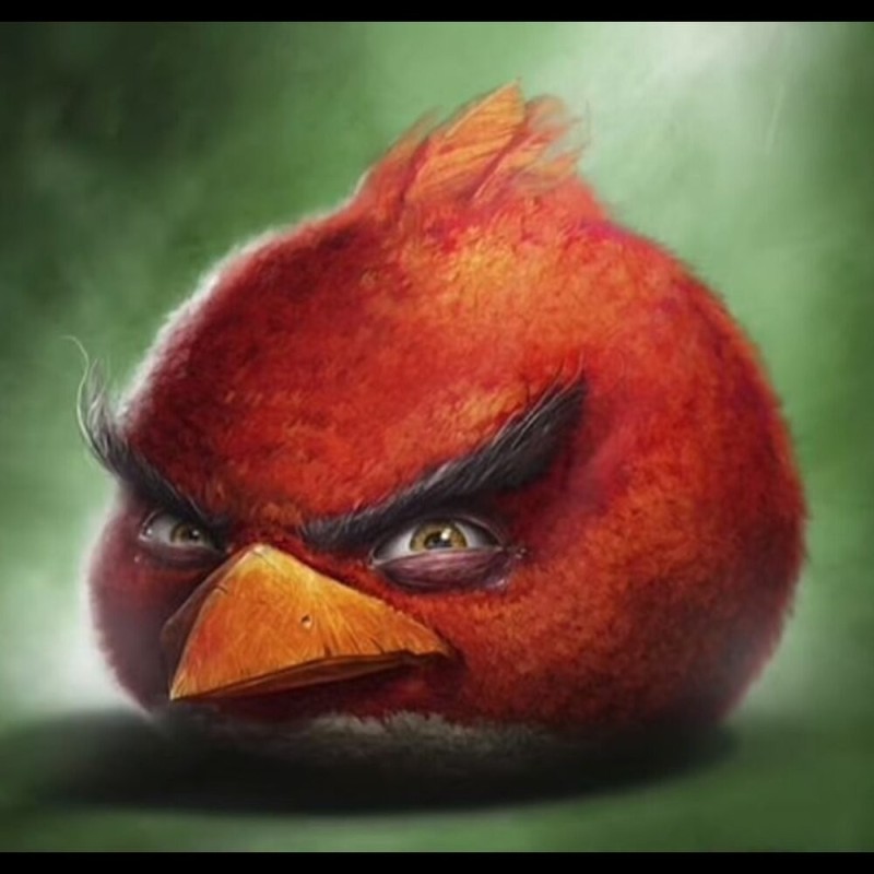 Создать мем: красная птичка из angry birds, sam spratt angry birds, red angry birds