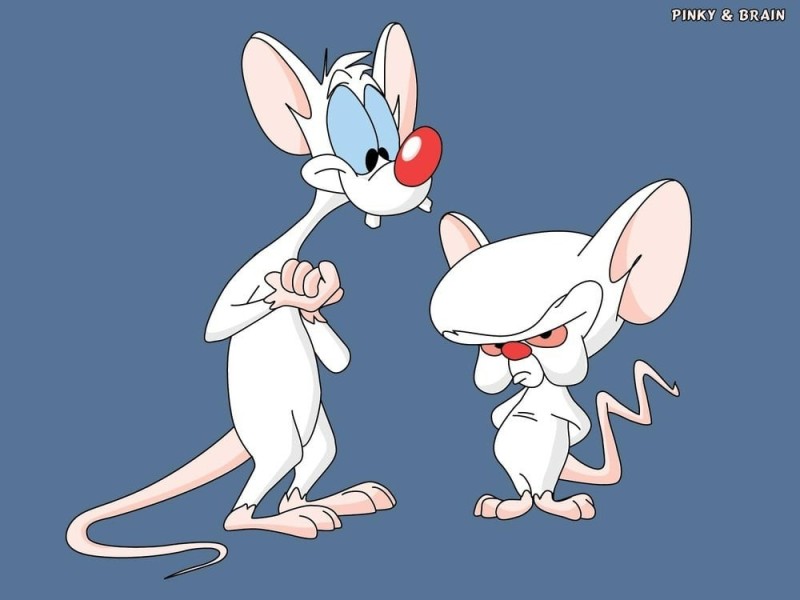 Create meme: cartoon pinky and brain, brain kicks, pinky and the brain animated series