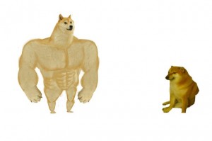 Создать мем: мем собака качок, мускулистая собака, мем доги качок