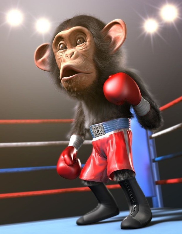 Создать мем: обезьяна боксер, бокс обезьян, веселая обезьяна