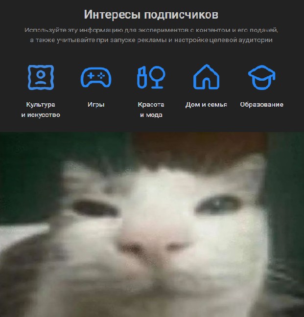 Create meme: cat no meme, cat , sleepy cat meme