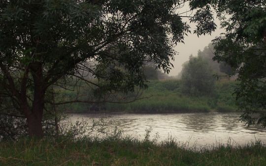 Create meme: the Oka river, morning river, nature 