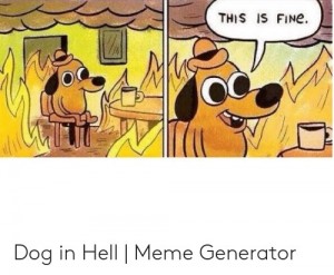 Create meme: this is a fine GIF, dog in heat meme, this is fine