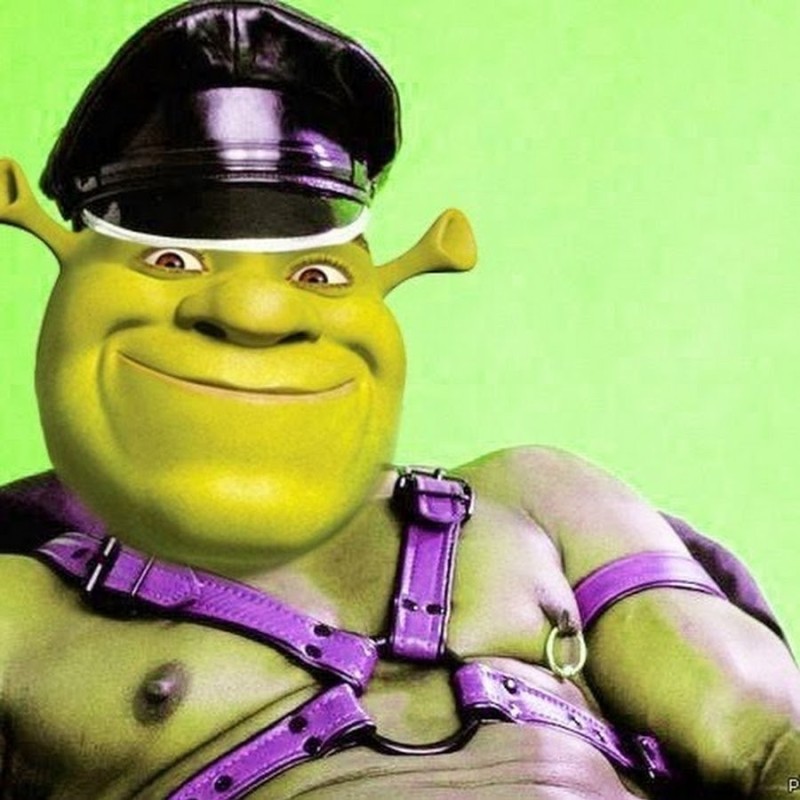 Create meme: Shrek Shrek, Shrek funny, the dark Lord 