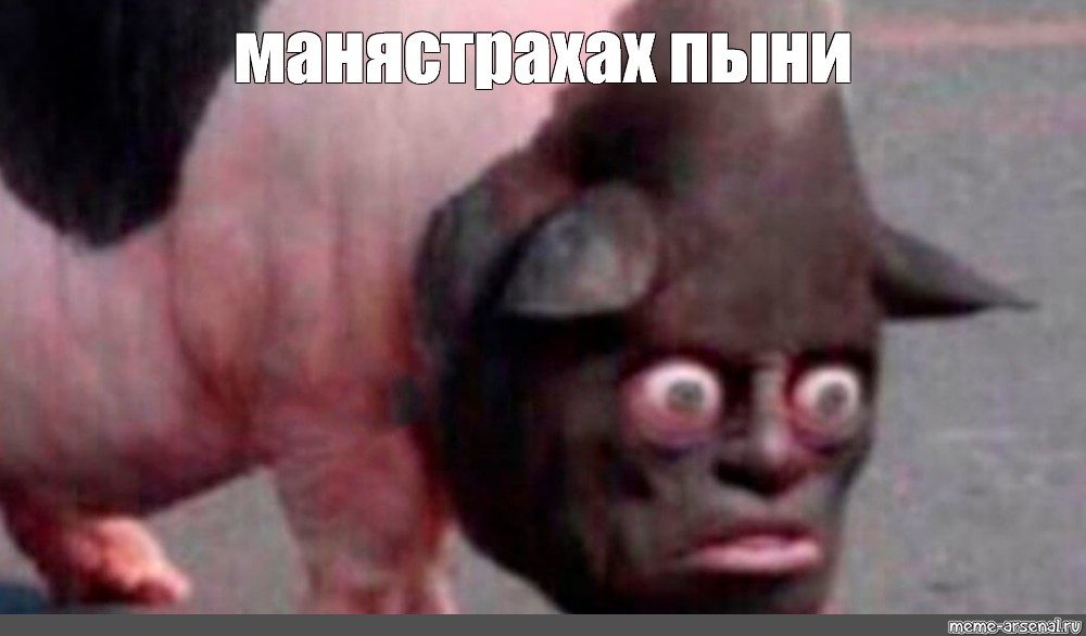 Создать мем: null