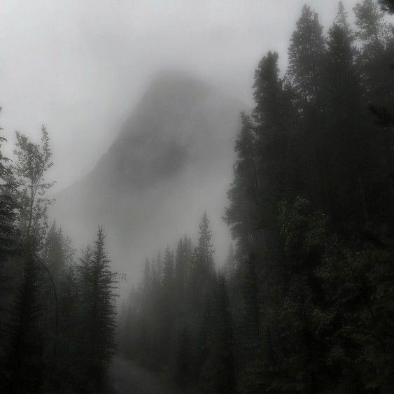 Create meme: nature fog, foggy landscapes, mountains fog forest a3