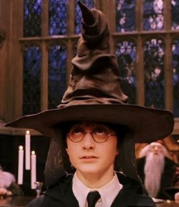 Create meme: hat from Harry Potter, Harry Potter