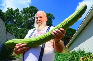 Создать мем: самый длинный огурец, большой огурец, самый длинный огурец в мире