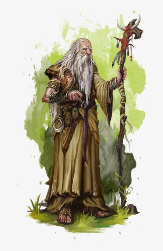 Create meme: Druid man dnd, Druid dnd, druid dnd art