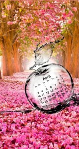 Create meme: floral background, beautiful flowers, flowering trees