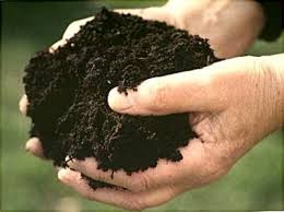 Create meme: black earth, fertile lands, chernozem soil