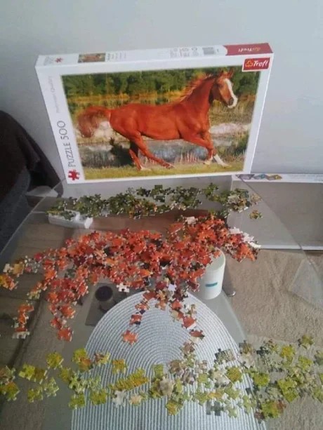 Create meme: puzzles of 500 pieces, trefl puzzle 1000 horses at a gallop, a puzzle of 500 pieces