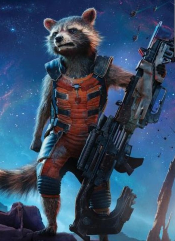 Create meme: rocket raccoon guardians of the galaxy, raccoon rocket , guardians of the galaxy rocket 