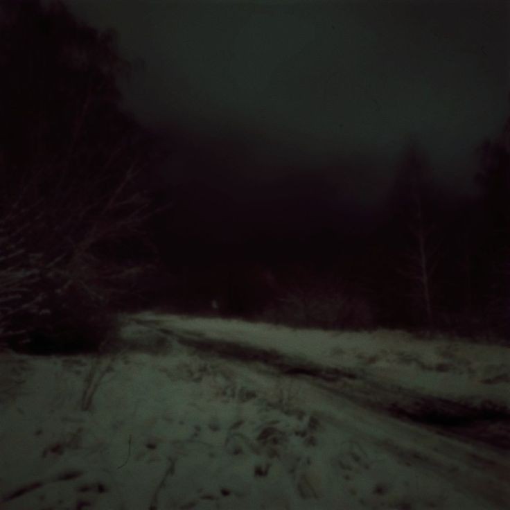 Create meme: winter road, gloomy winter forest, winter night