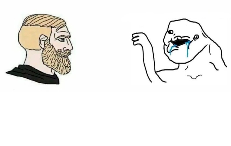 Create meme: template for memes, meme beard, bearded meme 