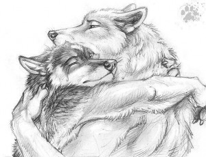 Create meme: wolf protect wolf pictures drawings, you cried Yes, how did you know? pictures, wolves pair art pencil