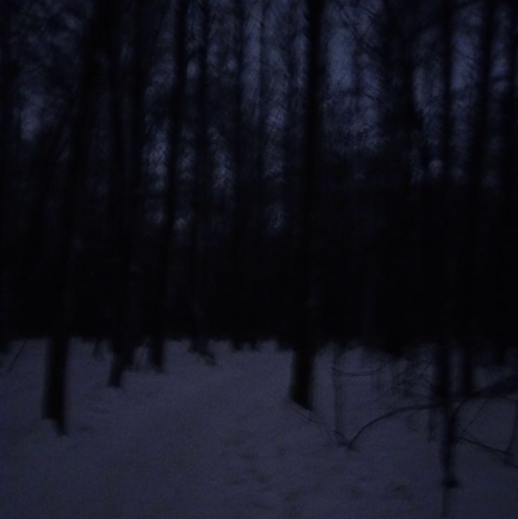 Создать мем: снег, в лесу ночью, темный лес