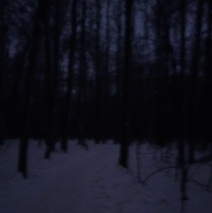 Create meme: snow , in the forest at night, dark forest