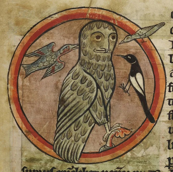 Create meme: medieval bird bestiary, medieval bestiary, bestiary owl