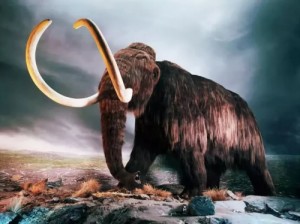 Create meme: elephant, mammoth bones, extinct