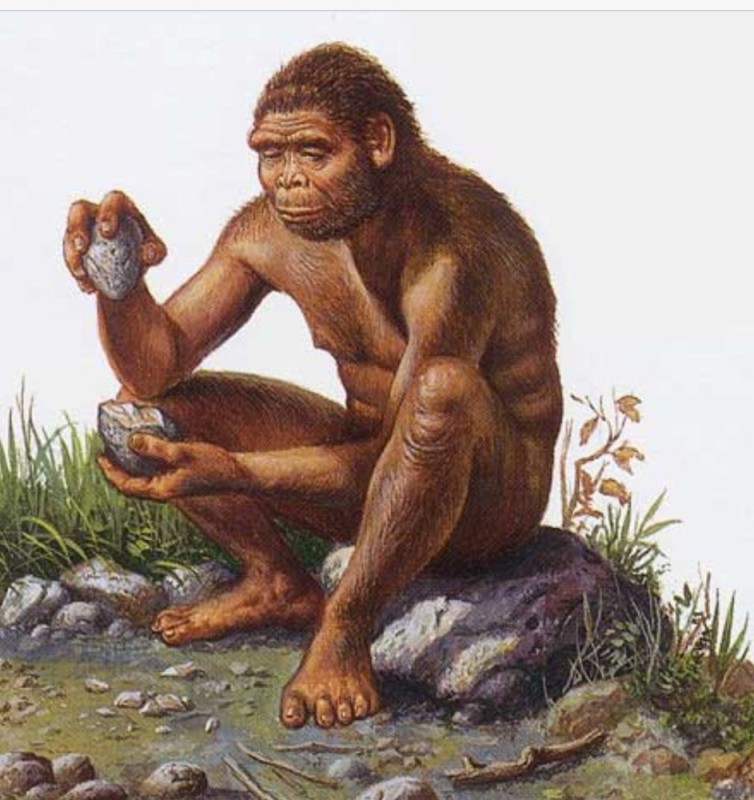 Create meme: Homo habilis, Homo habilis homo habilis