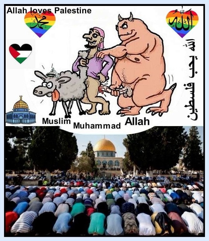 Create meme: pigs are big, Muslims are a religion, Muslim