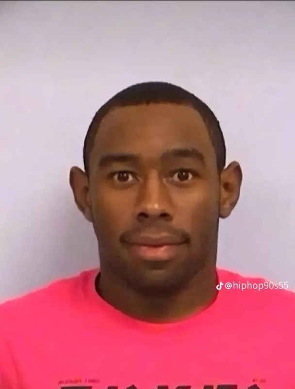 Create meme: tyler the creator mugshot, tyler mugshot, tyler ze criator