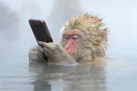 Create meme: happy monkey, a monkey with a phone, macaque monkey