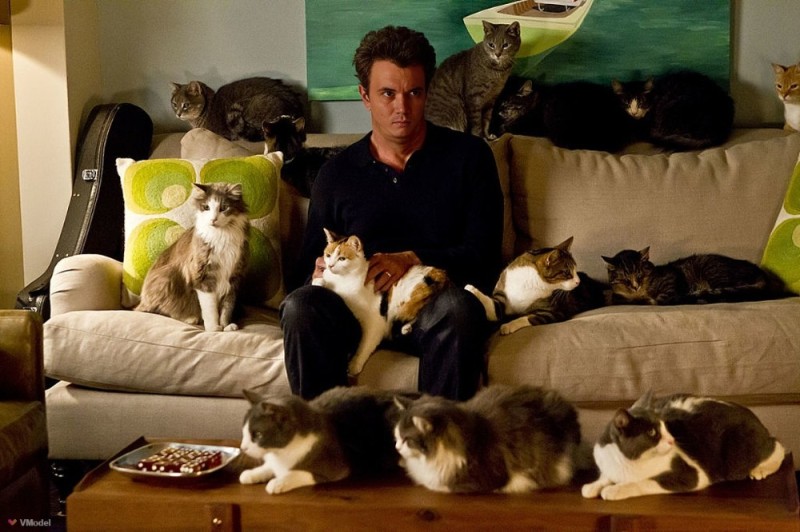 Create meme: Matthew Perry with cats, a man surrounded by cats, ailurophile