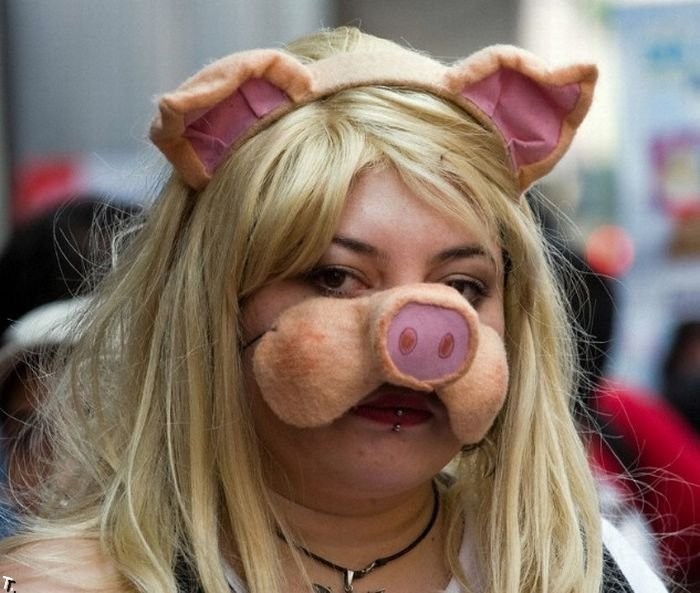Create meme: piggy piggy, pig , bullies and nerds