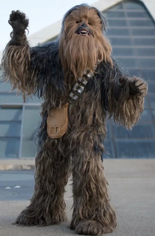 Create meme: Chewbacca , chewbacca's star wars, chewbacca costume from star wars