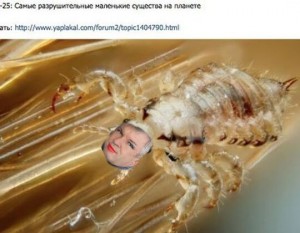 Create meme: head lice