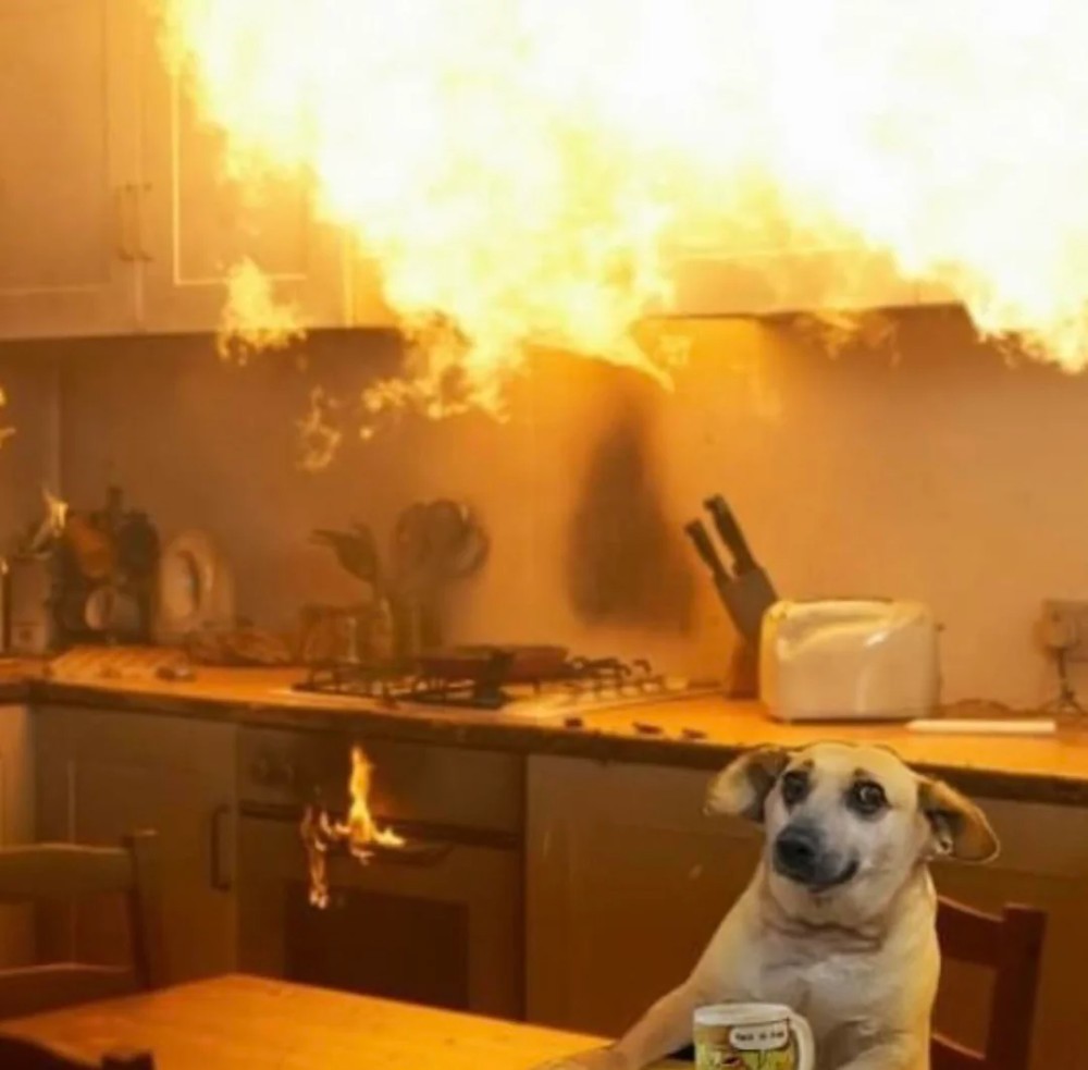 Create meme: The fire in the kitchen, meme with a burning dog in the house, fire in the kitchen