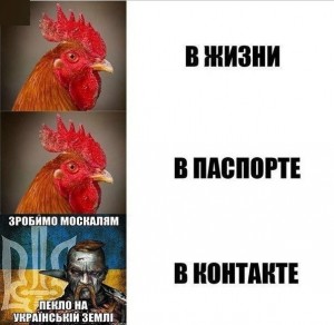 Create meme: Cockerel, rooster comb, the cock bird