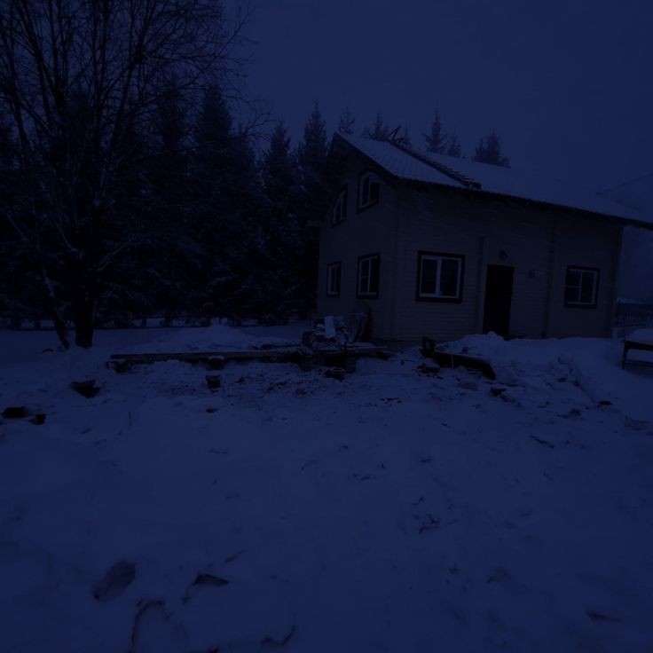 Create meme: a house in the forest in winter, darkness, Cold Blood movie 2010