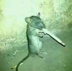 Create meme: animal, mouse with a cigarette