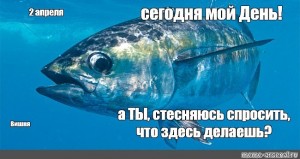 Создать мем: большеглазый тунец, тихоокеанский голубой тунец, тунец