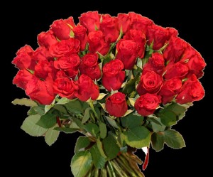 Create meme: red roses, a bouquet of roses, rose El Toro bouquet